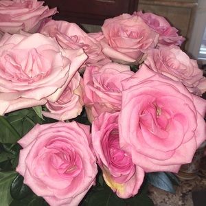 Meet your Posher, Alexandra